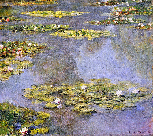 water-lilies-8